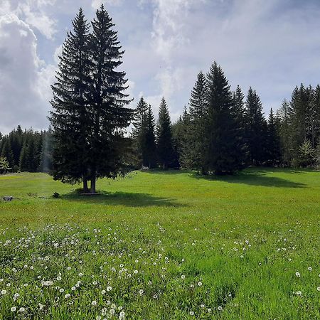 Wooden Cottage Podgora Žabljak Eksteriør bilde